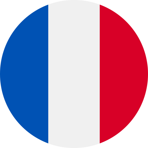 Logo drapeau France - Make Me Win
